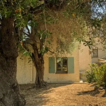 Ferienhaus Vue Imprenable Et Montagne Cateri